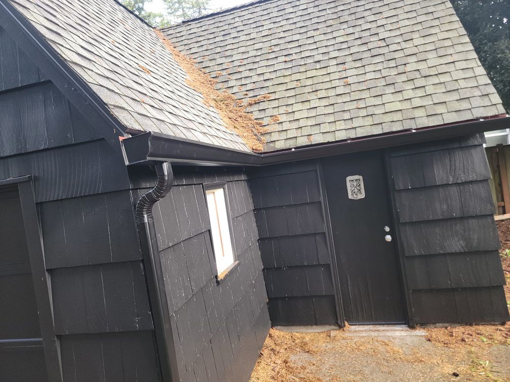 Siding and roofline improvement