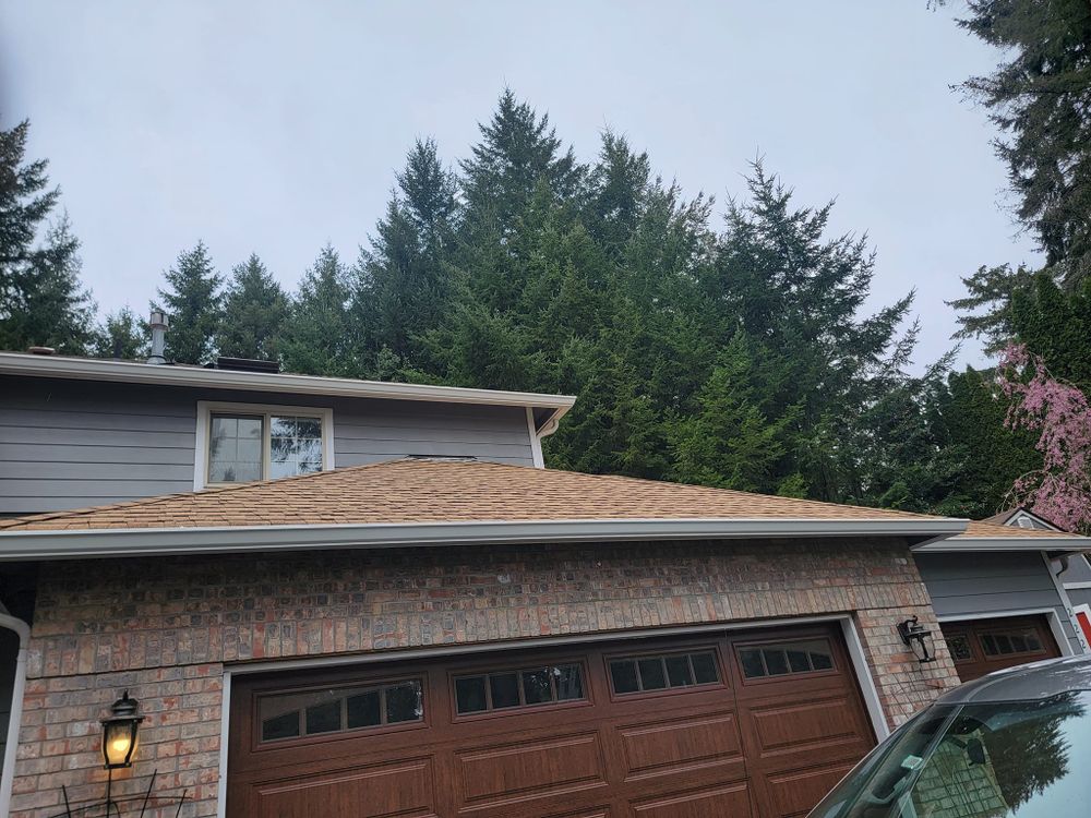 Siding service